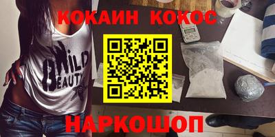 тгк Кингисепп