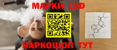 тгк Кингисепп