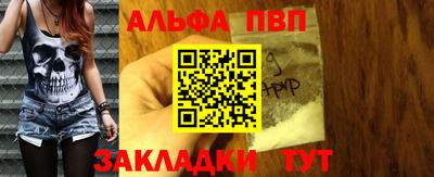 тгк Кингисепп