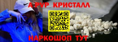 тгк Кингисепп
