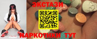 тгк Кингисепп