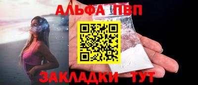 тгк Кингисепп