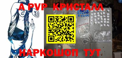 тгк Кингисепп