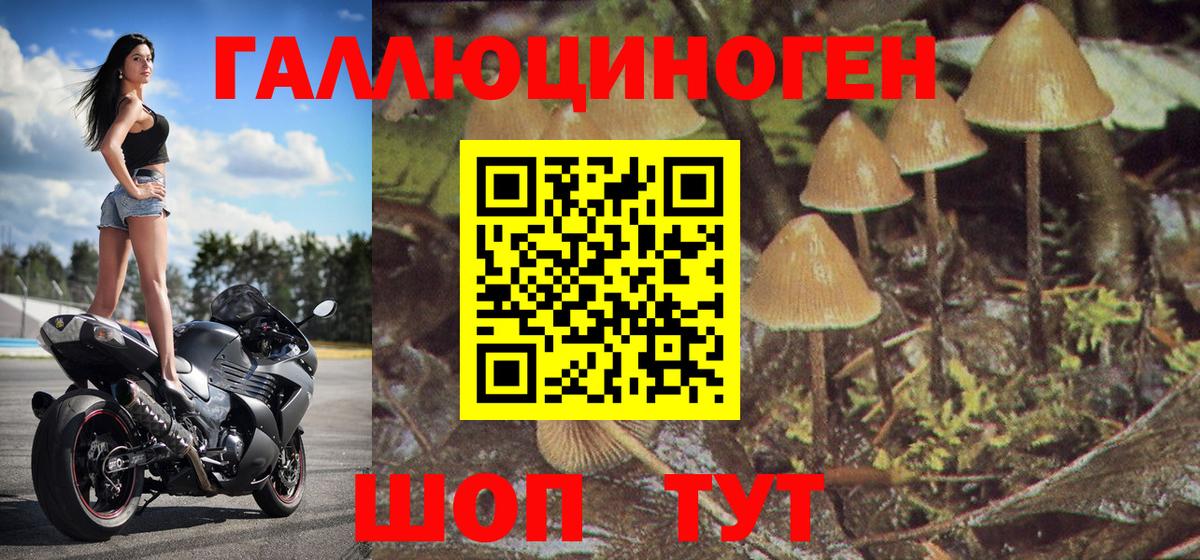 Псилоцибиновые грибы Psilocybe  купить закладку  Ярославль  Вход с VPN 